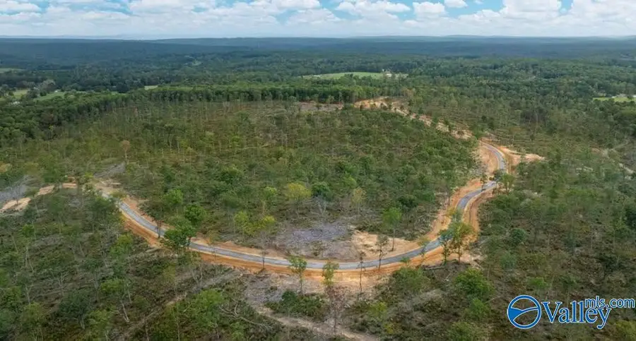 Tract 22 County Road 641, Mentone, AL 35984 - #2