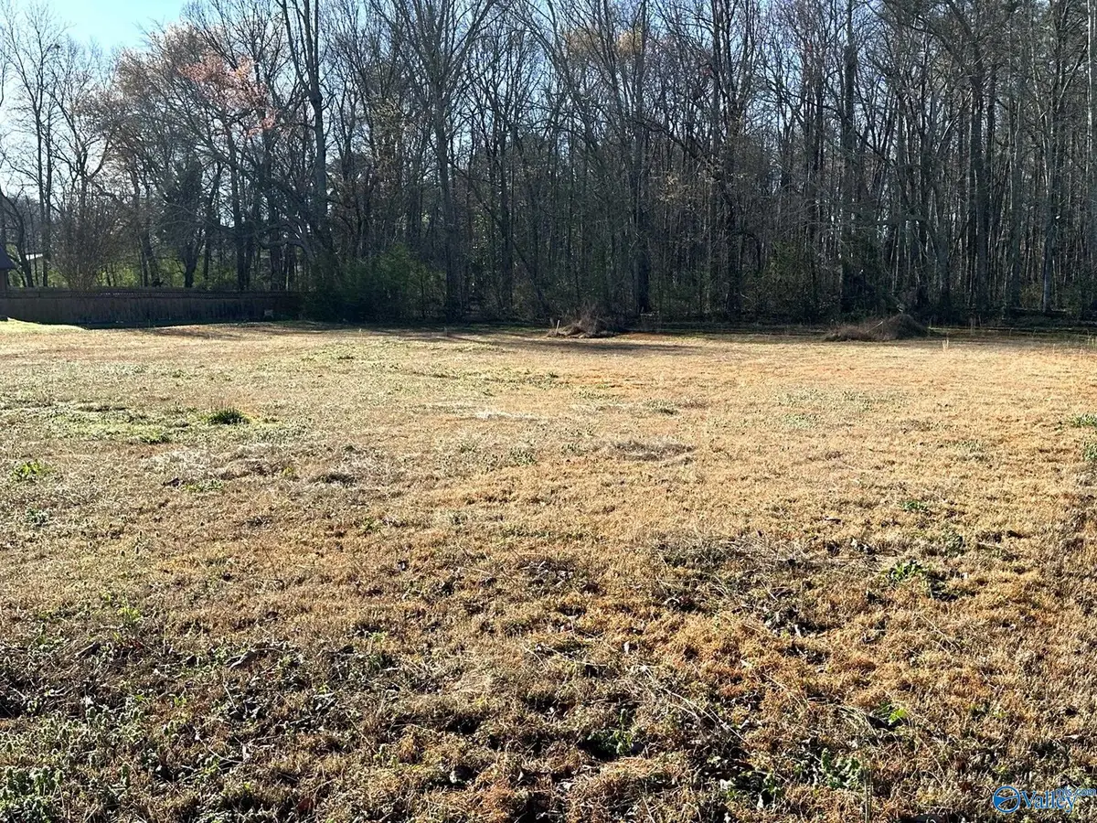 .68 acres Eddy Scant City Road, Arab, AL 35759 - #1