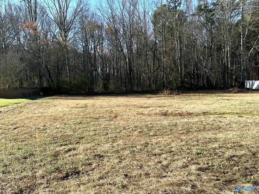 .68 acres Eddy Scant City Road, Arab, AL 35759 - #3