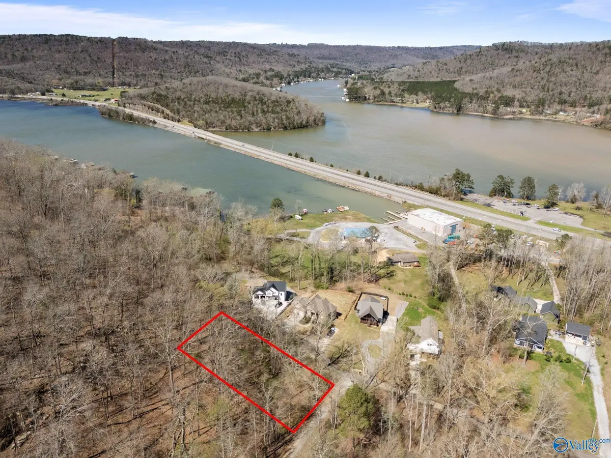 Lot 1 Moss Drive, Grant, AL 35747 - #1
