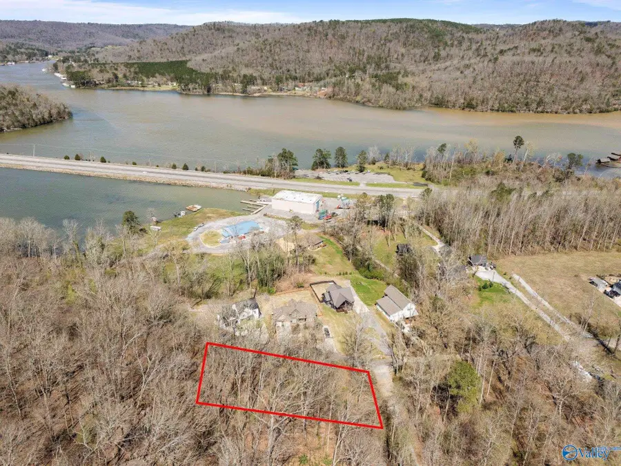 Lot 1 Moss Drive, Grant, AL 35747 - #2