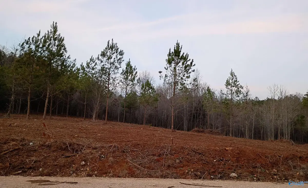 Tract 2 County Road 176, Piedmont, AL 36272 - #1