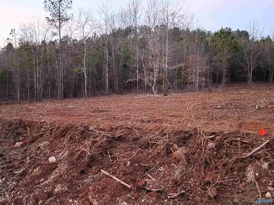 Tract 2 County Road 176, Piedmont, AL 36272 - #2