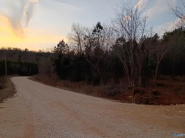 Tract 3 County Road 176, Piedmont, AL 36272