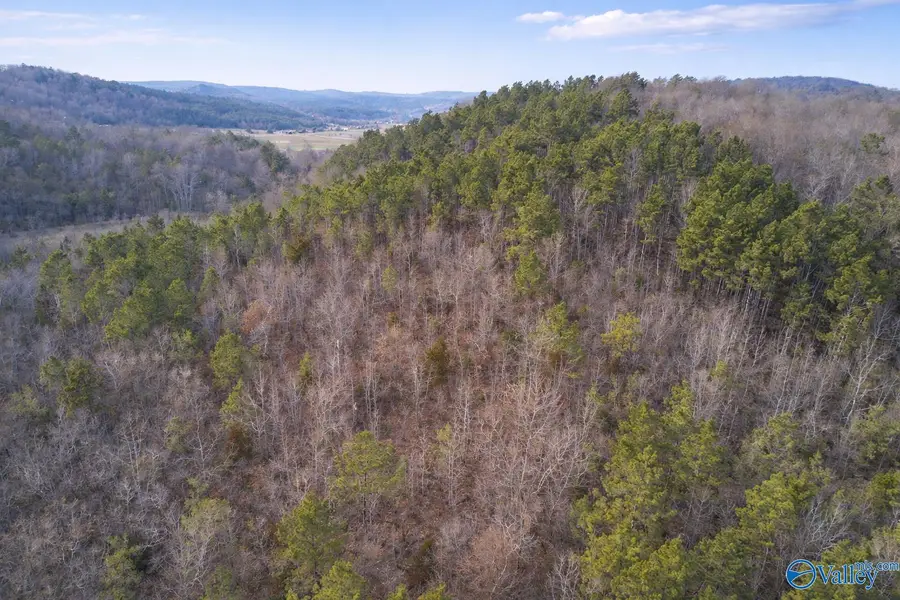 Tract 3 County Road 176, Piedmont, AL 36272 - #2