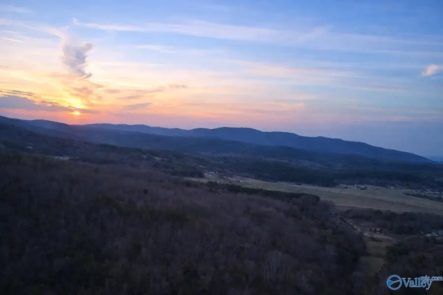 Tract 3 County Road 176, Piedmont, AL 36272 - #3