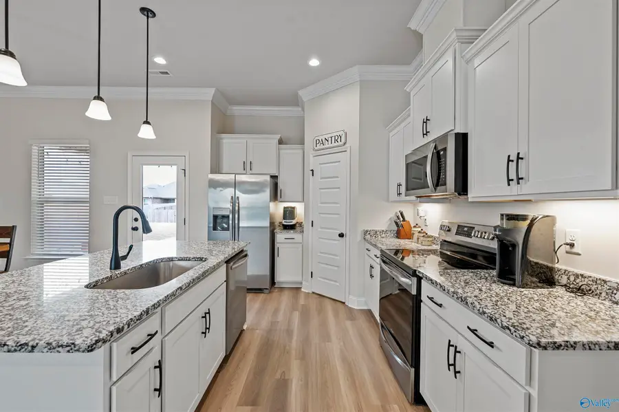 24454 Bekah Lane, Toney, AL 35773 - #2