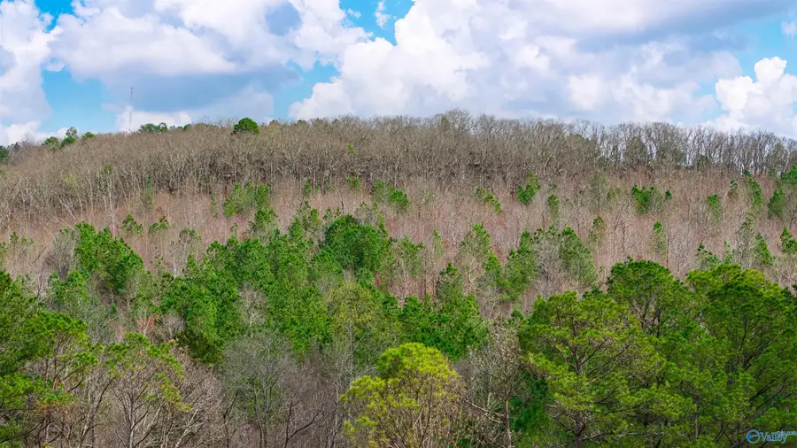 37.2 Acres Highway 68, Collinsville, AL 35961 - #2