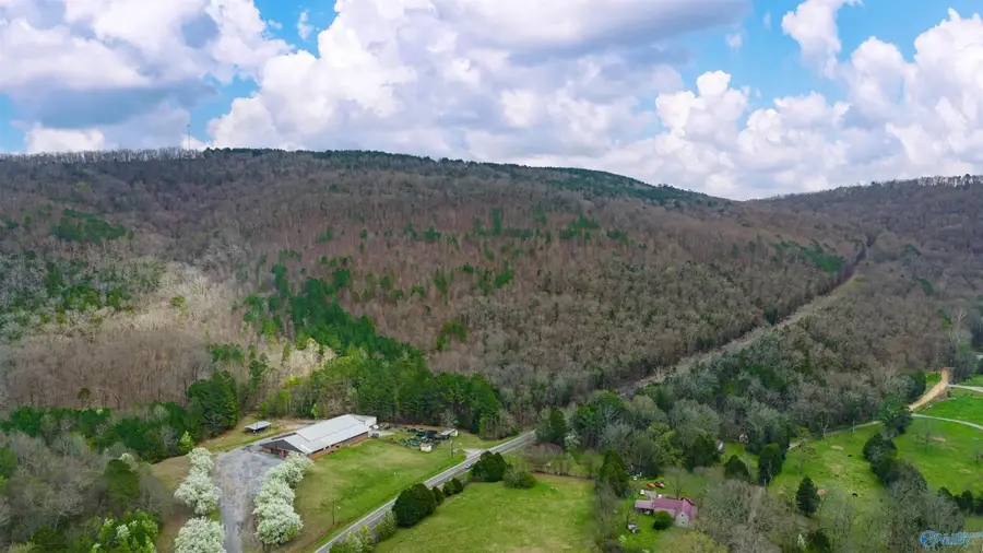 37.2 Acres Highway 68, Collinsville, AL 35961 - #3