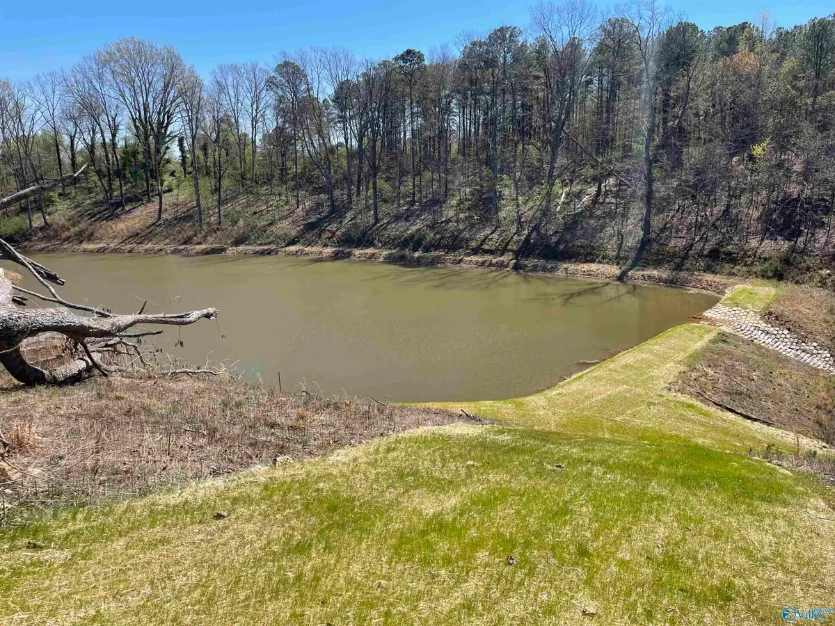 5 acres Appaloosa Drive, Albertville, AL 35951 - #1