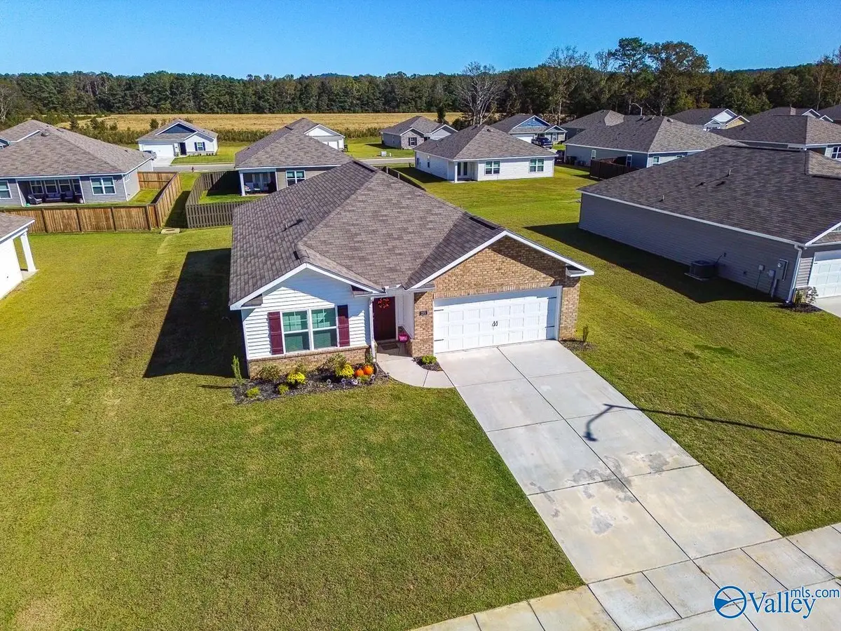 215 Chubbs Lane, Owens Cross Roads, AL 35763 - #1
