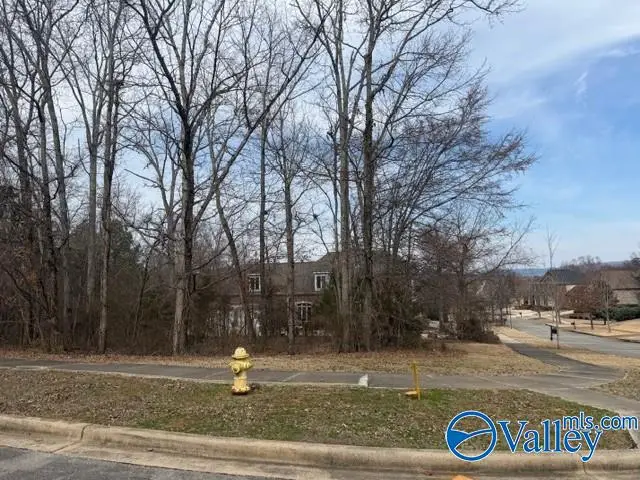 716 Marina Park Drive Se, Huntsville, AL 35803 - #2