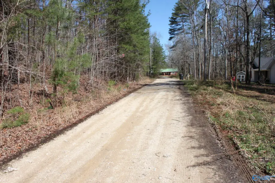 Lot 4 Hickory Lane, Hammondville, AL 35989 - #3