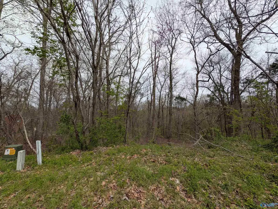 28 Carriage Hill, Madison, AL 35758 - #2