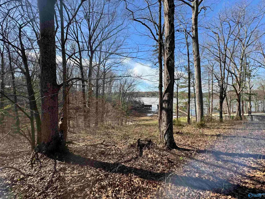 18387 Dement Road, Athens, AL 35611 - #3