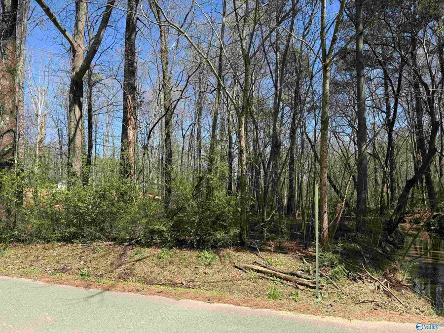 XX 10th Street Sw, Arab, AL 35016 - #2