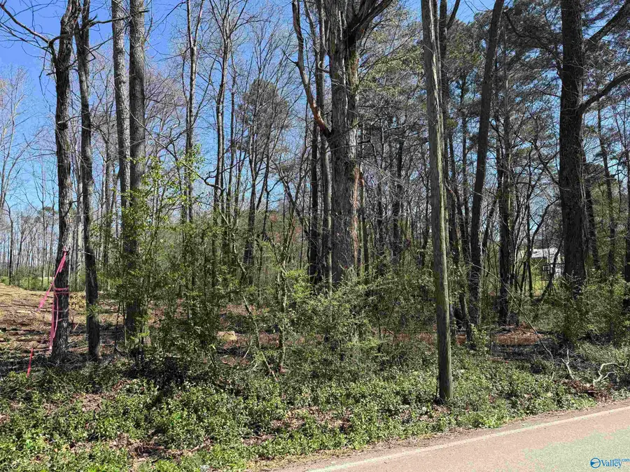 XX 10th Street Sw, Arab, AL 35016 - #3