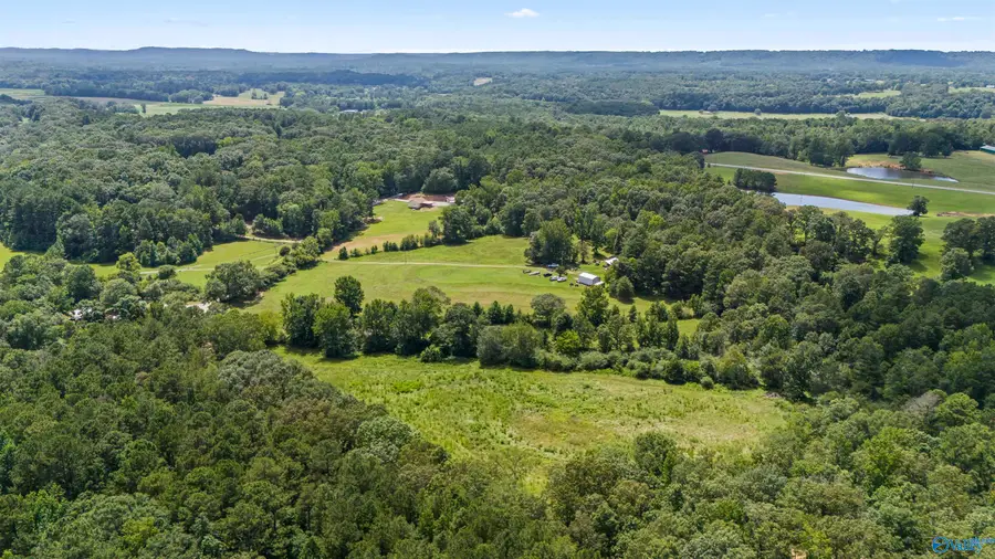 11AC County Road 501, Hanceville, AL 35077 - #2