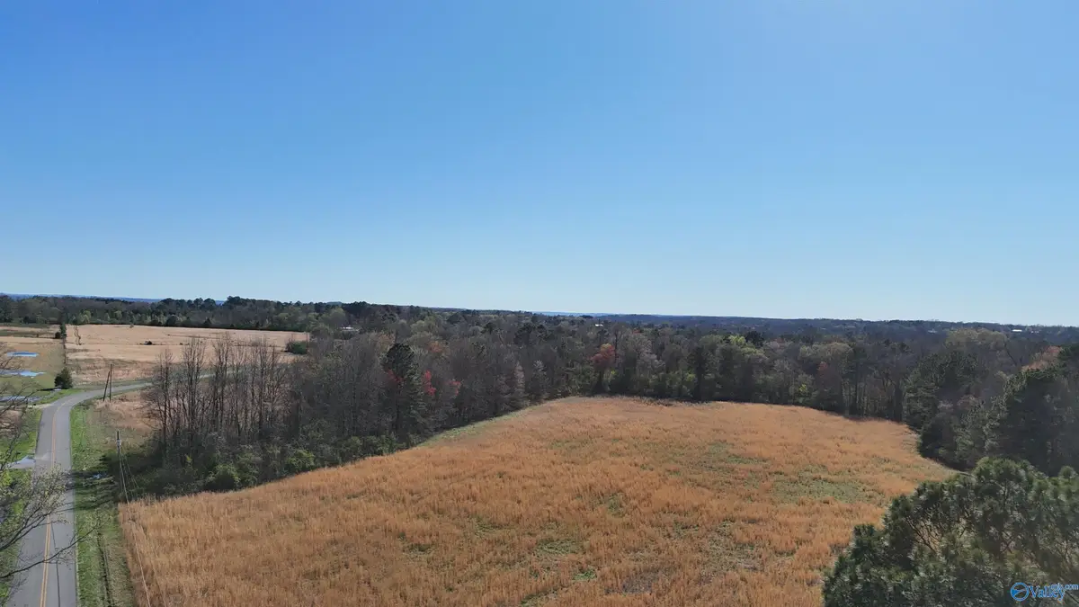 17 ACRES Columbus City Road, Grant, AL 35747 - #1