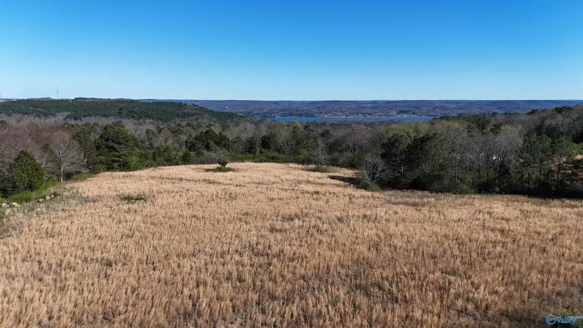 25 ACRES Lemaster Road, Grant, AL 35747 - #1