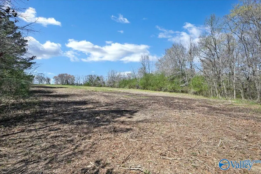 3623 Lot 3 Barkley Bridge Road, Hartselle, AL 35640 - #3