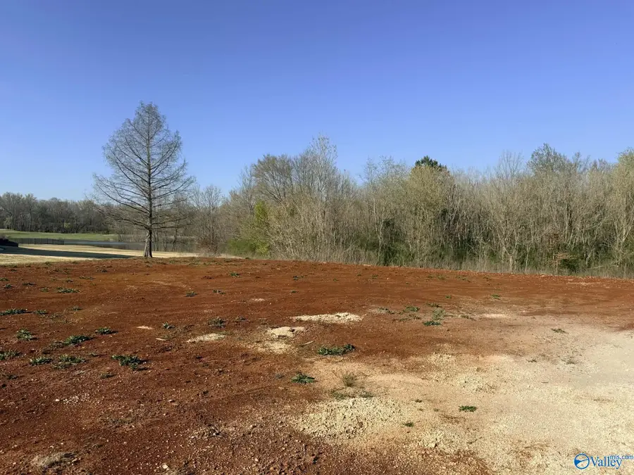 24044 Piney Creek Drive, Athens, AL 35613 - #3