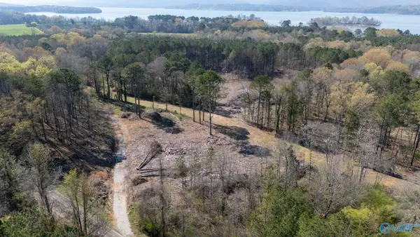 20.6 Acres Murphy Hill Road, Langston, AL 35755