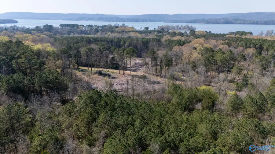 20.6 Acres Murphy Hill Road, Langston, AL 35755 - #2