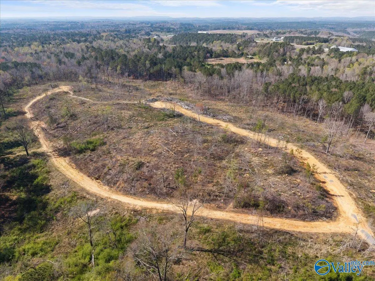 Lot #1 Westridge Drive, Trafford, AL 35172 - #1