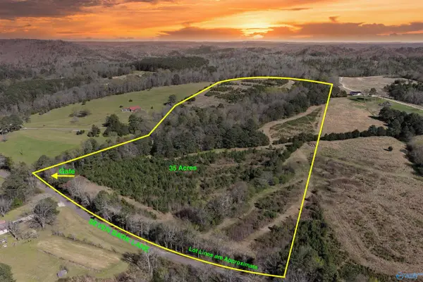 01 Seven Bark Lane, Oneonta, AL 35121