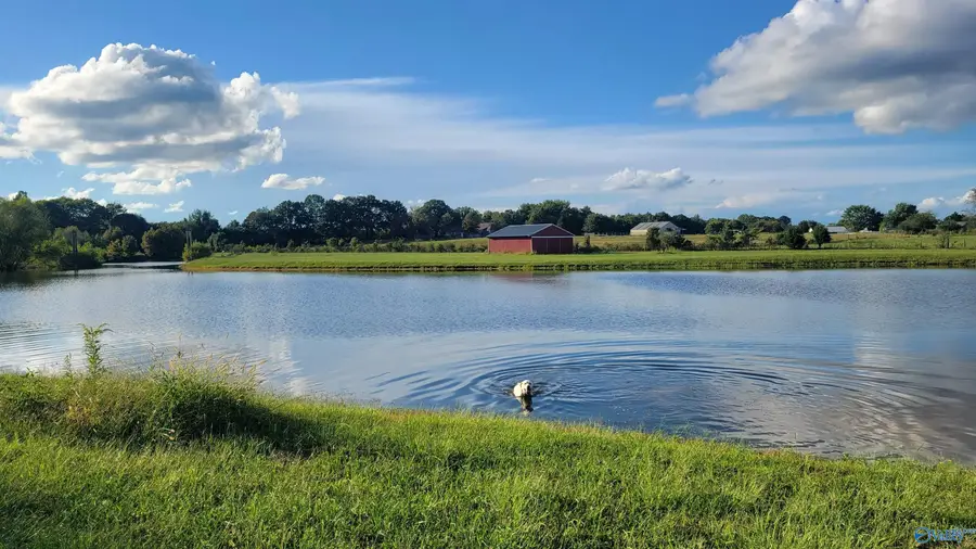 15 acres Slaughter Pen Road, Ardmore, TN 38449 - #2