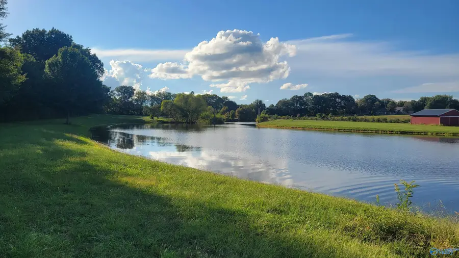 15 acres Slaughter Pen Road, Ardmore, TN 38449 - #3