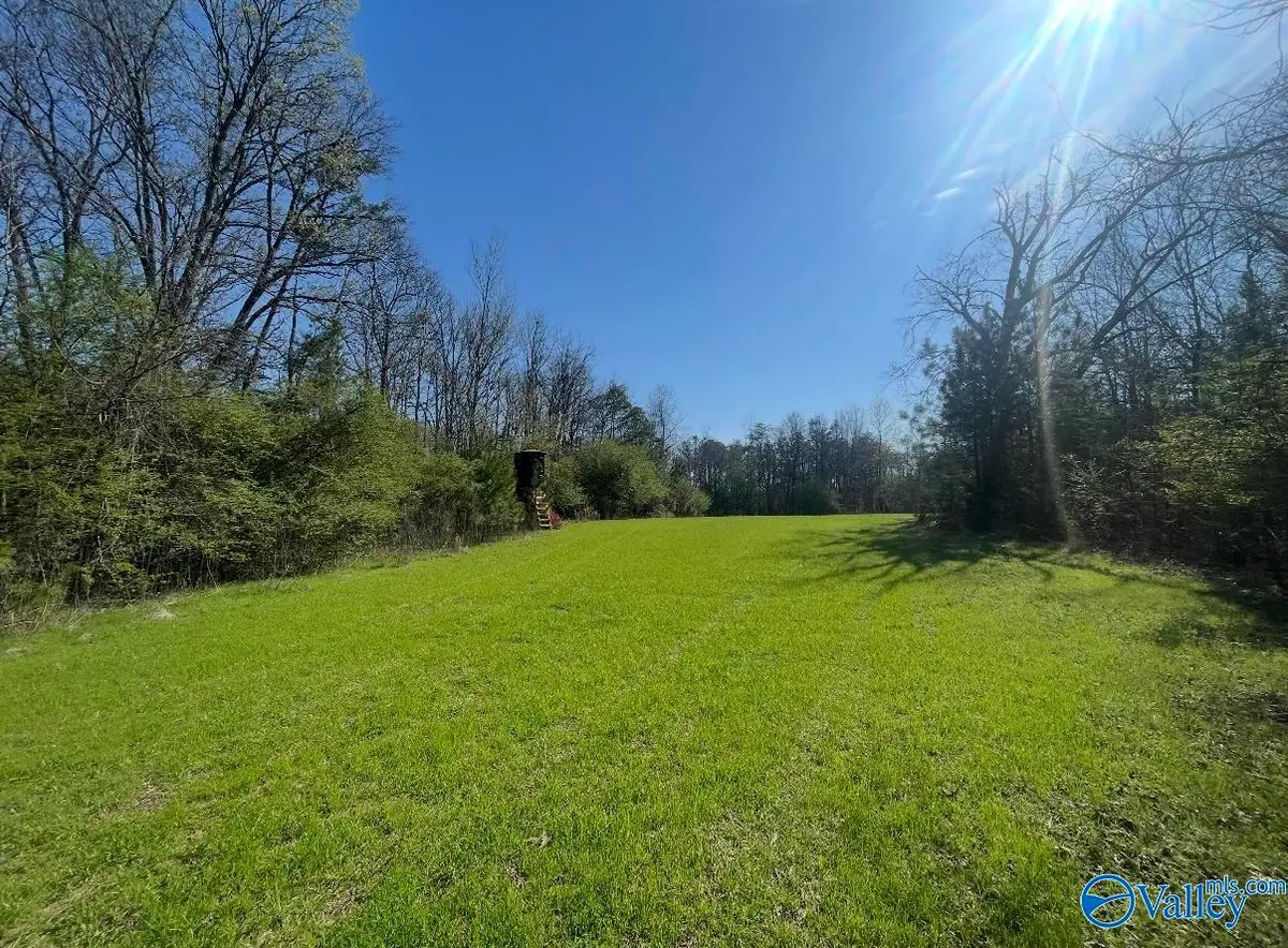 22 acres Bishop Mountain Road, Grant, AL 35747 - #1