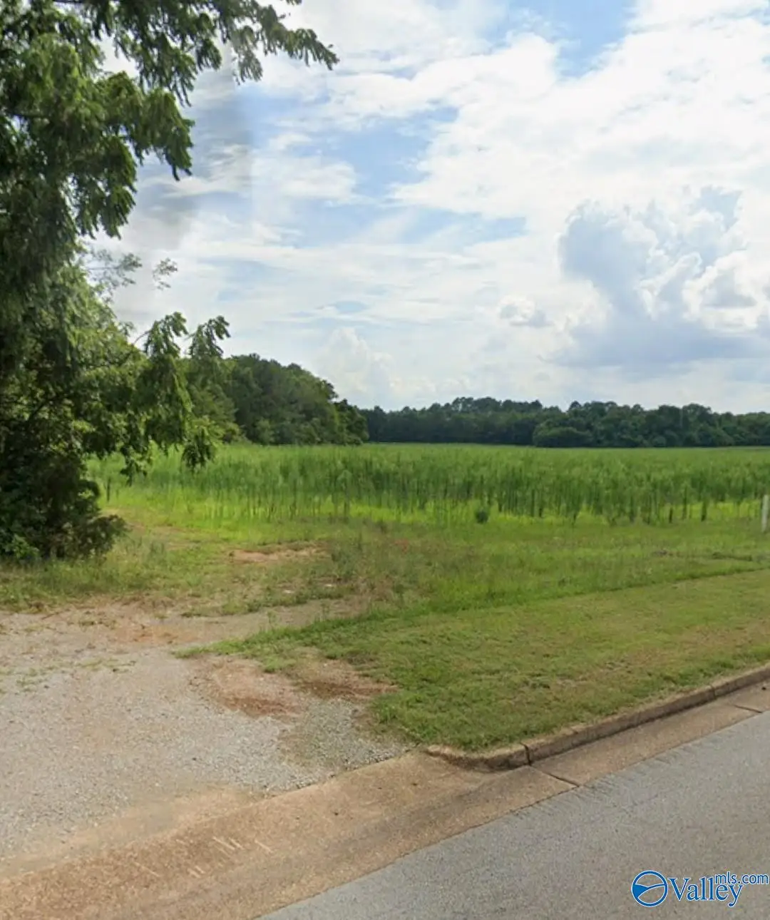 1 Acre Pulaski Pike, Huntsville, AL 35810 - #1