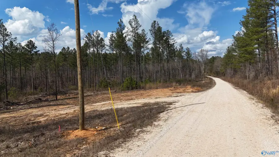 12 County Road 175, Piedmont, AL 36272 - #2