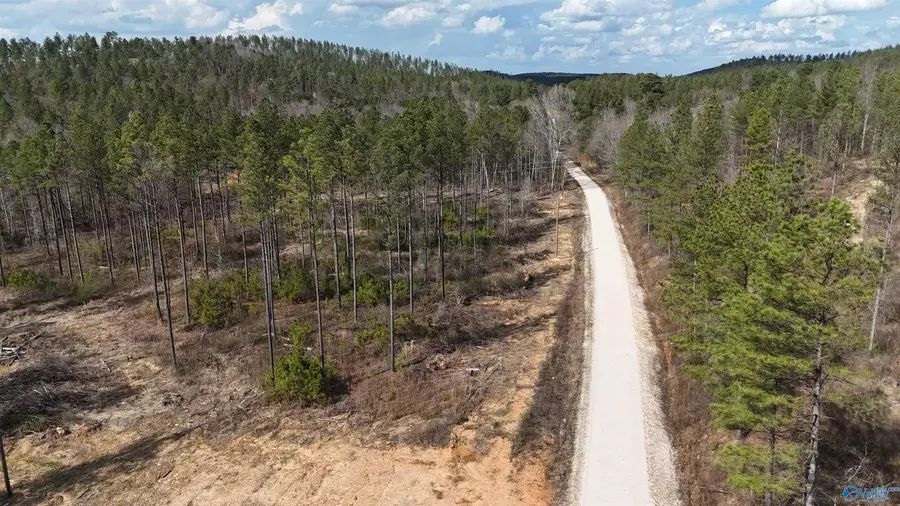 12 County Road 175, Piedmont, AL 36272 - #3