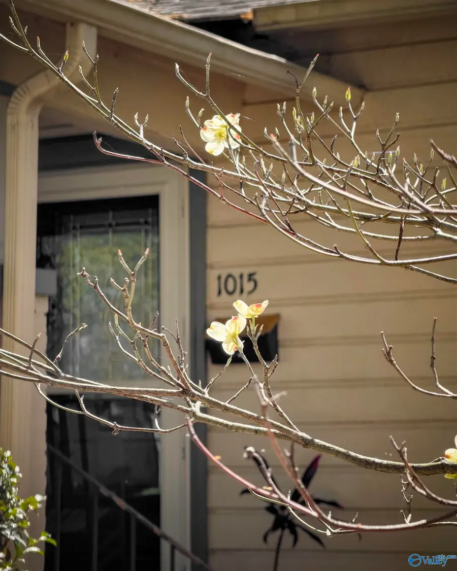 1015 Grant Street Se, Decatur, AL 35601 - #3