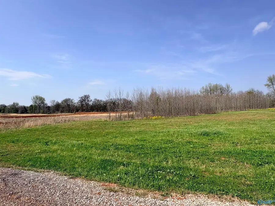 23713 Old Homeplace Way, Athens, AL 35613 - #2