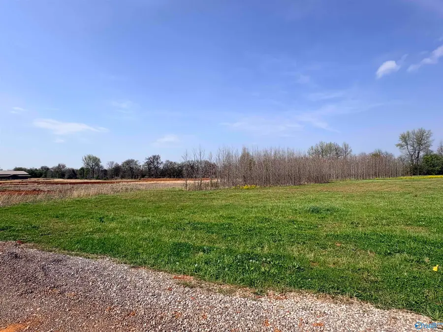 23713 Old Homeplace Way, Athens, AL 35613 - #3