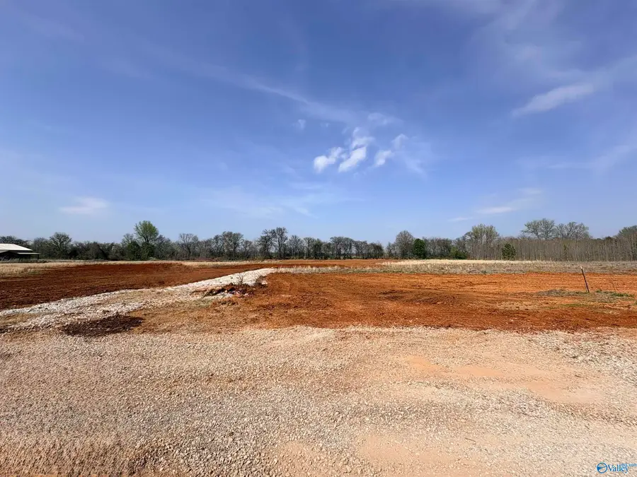 23671 Old Homeplace Way, Athens, AL 35613 - #2