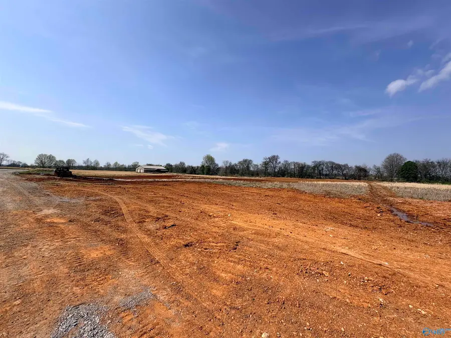 23671 Old Homeplace Way, Athens, AL 35613 - #3