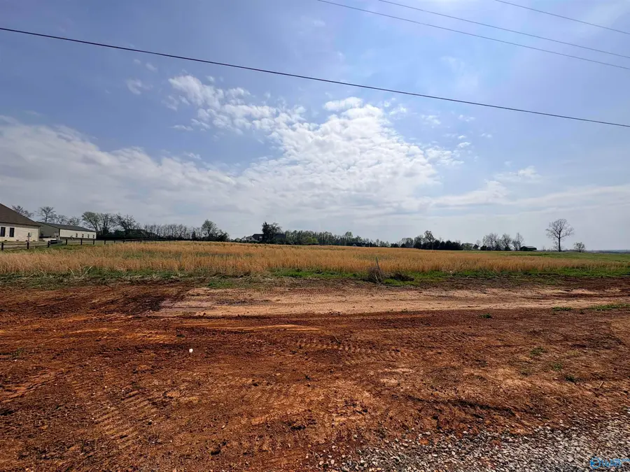 23678 Old Homeplace Way, Athens, AL 35613 - #2