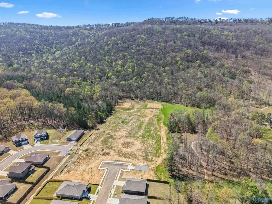 15 Acres Feather Way, Huntsville, AL 35763 - #2