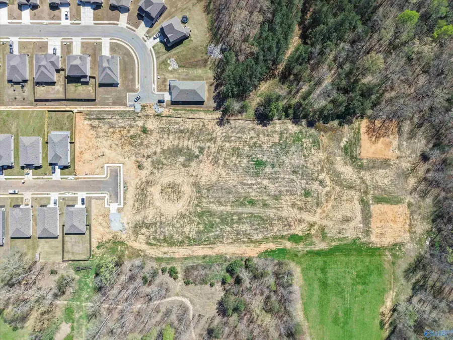 15 Acres Feather Way, Huntsville, AL 35763 - #3
