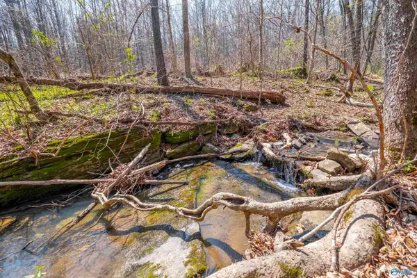 163 Acres Duck Springs Road, Attalla, AL 35954