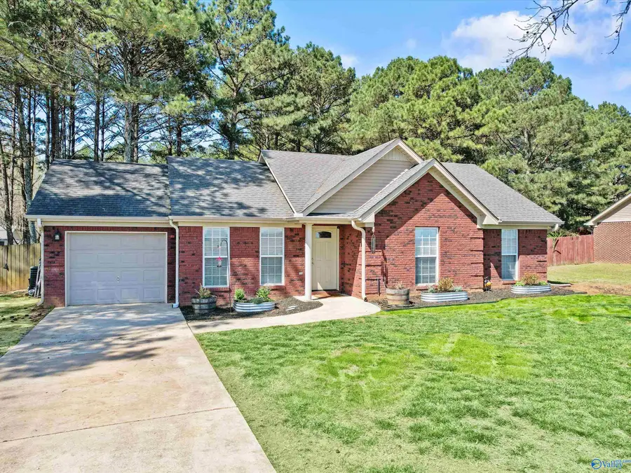 244 Welcome Home Village Road, Toney, AL 35773 - #3
