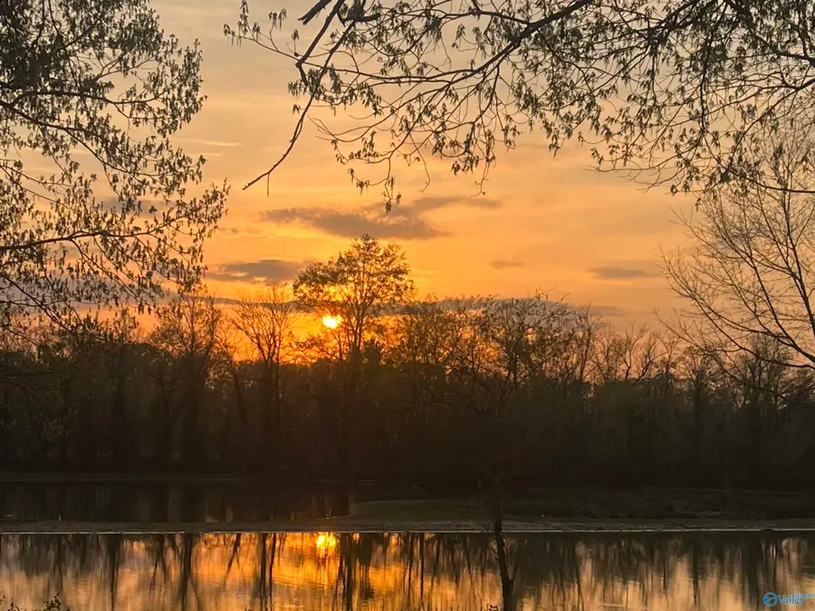 57 County Road 115, Cedar Bluff, AL 35959 - #2