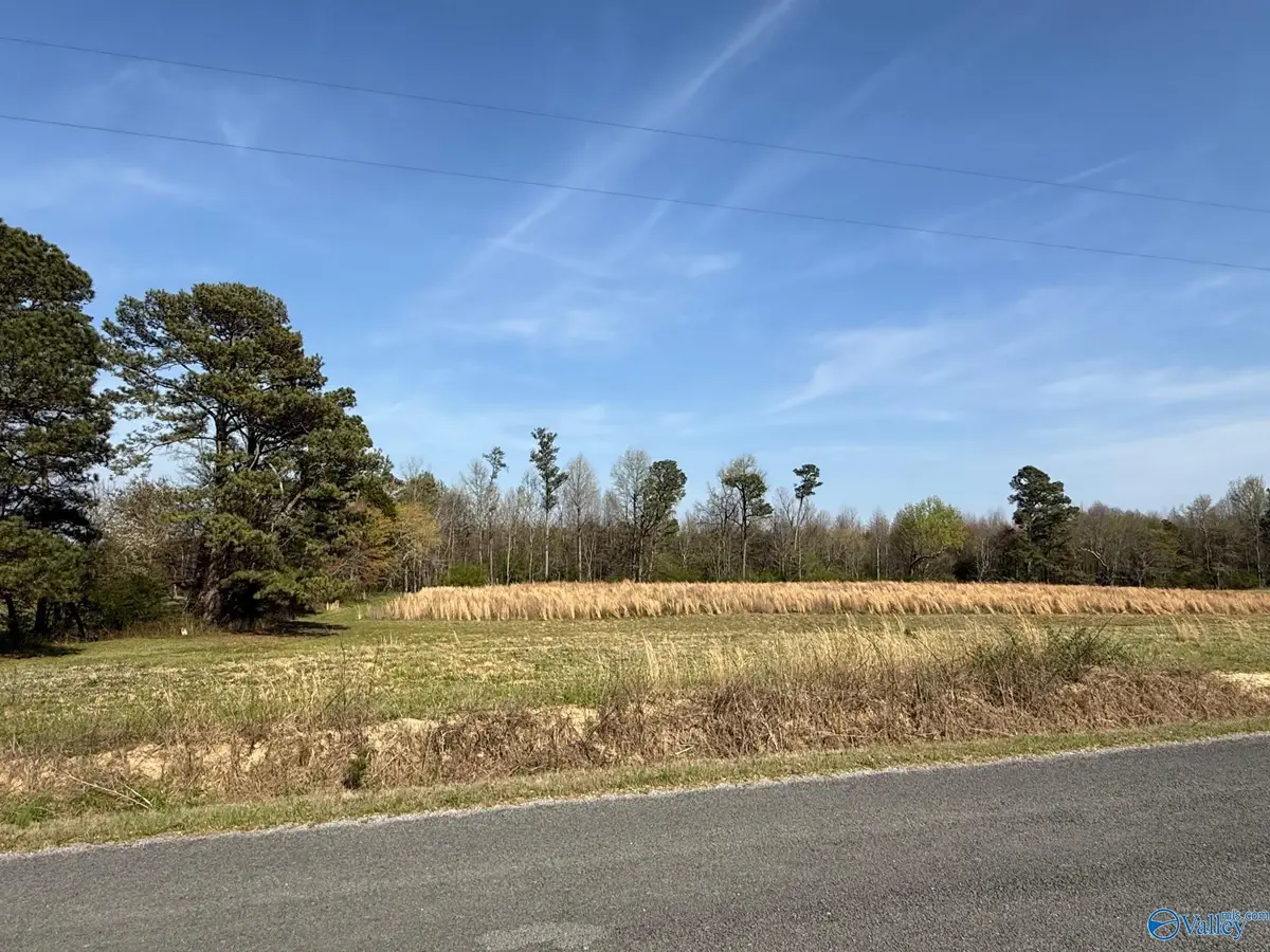 Lot 8 County Road 318, Dawson, AL 35963 - #1