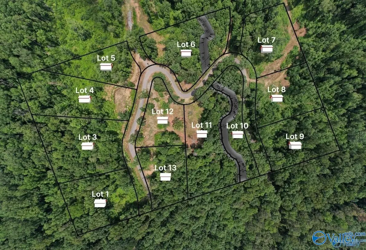 LOT 9 Wyeth Drive, Guntersville, AL 35976 - #1