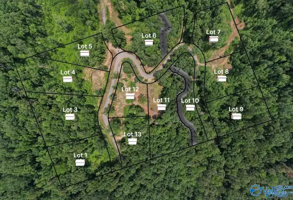 LOT 9 Wyeth Drive, Guntersville, AL 35976